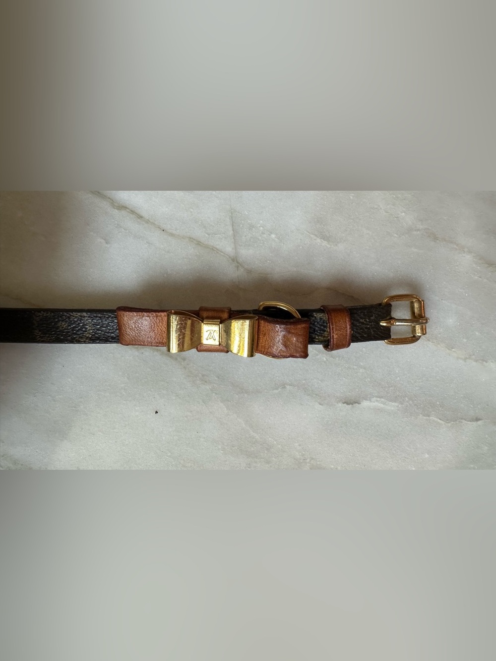 Louis Vuitton Laisse Baxter MM Pet Leash & Collar - M58056 & TH1008 - Picture 12 of 14